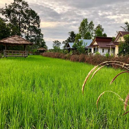 Baan Thung Home Stay Prasat Exteriér fotografie