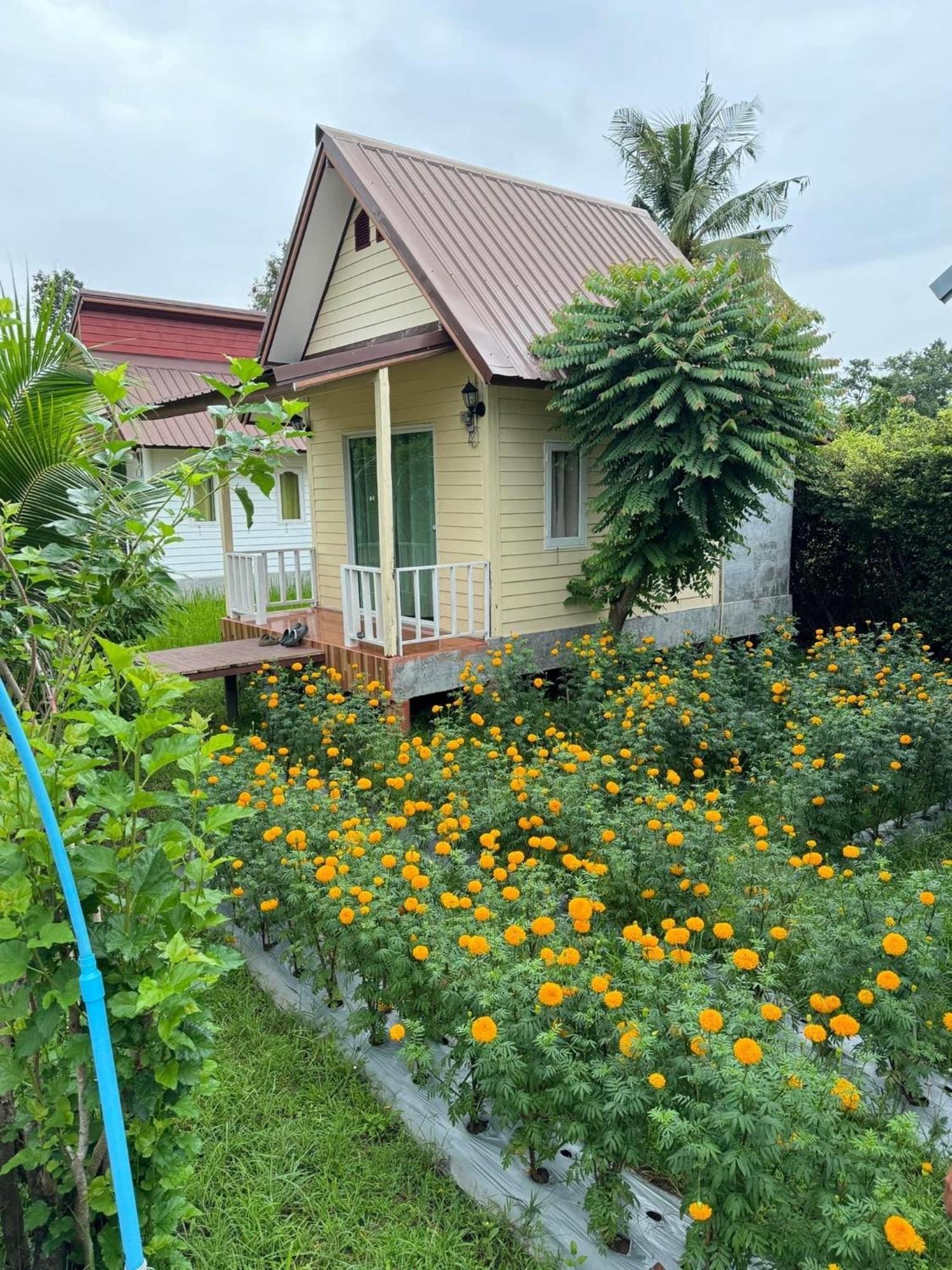 Baan Thung Home Stay Prasat Exteriér fotografie