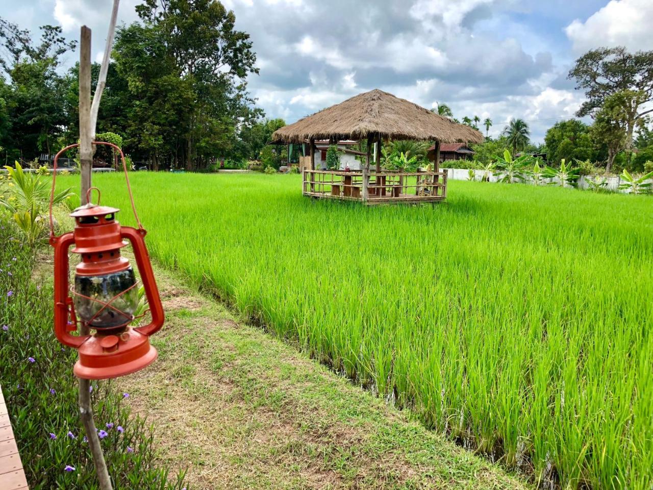 Baan Thung Home Stay Prasat Exteriér fotografie
